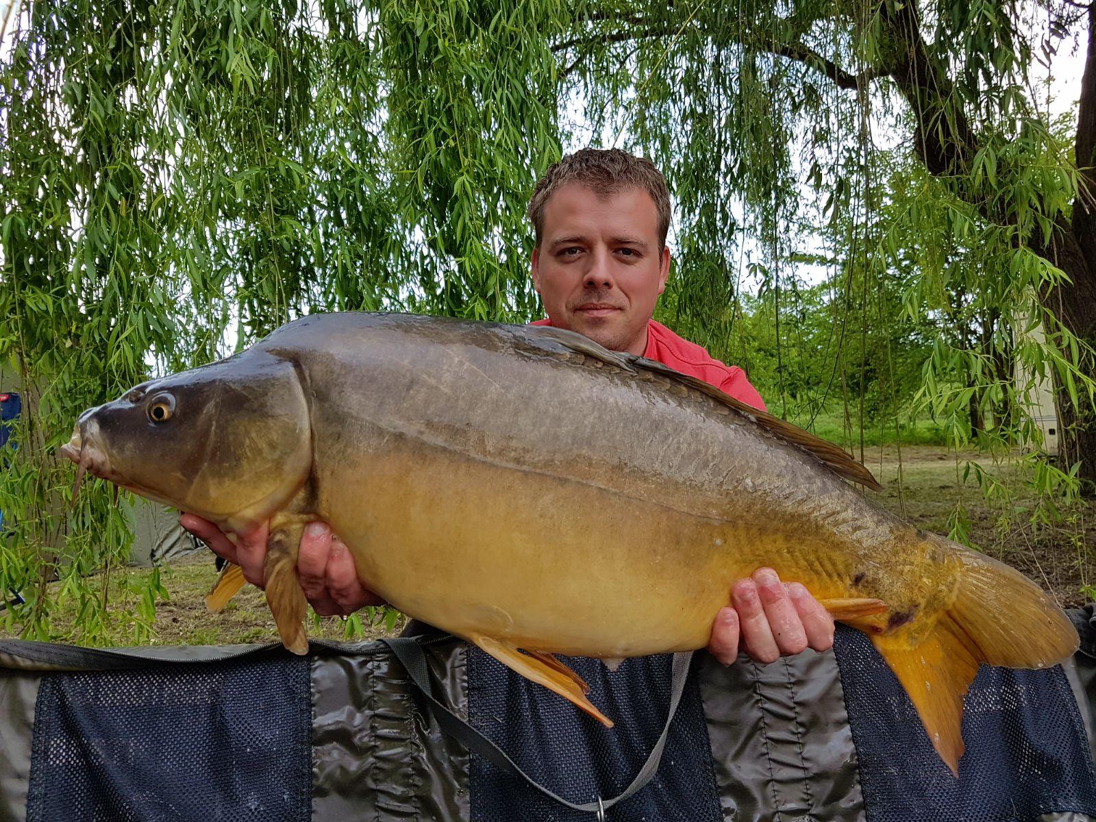 Tancabesti 11 - 13 mai. - 10 kg